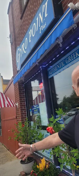 Gyro Point Plus Picture 2