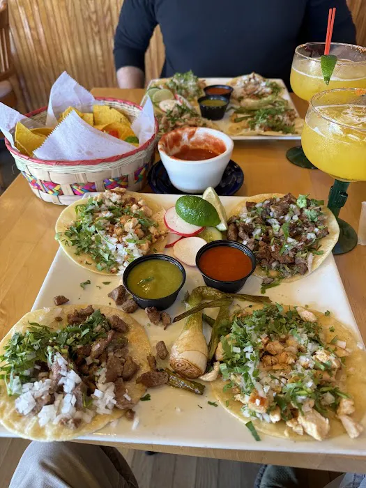 Playa Cancun Picture 10