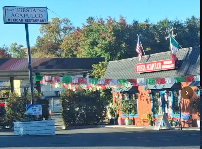 Fiesta Acapulco Picture 9