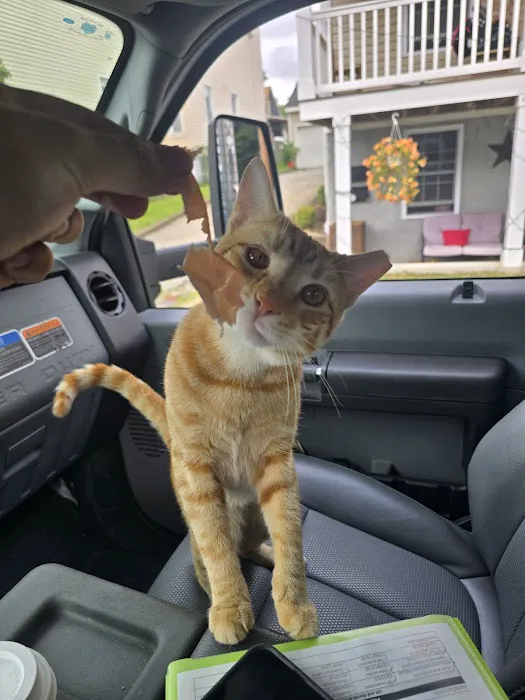 Corner Deli Picture 1