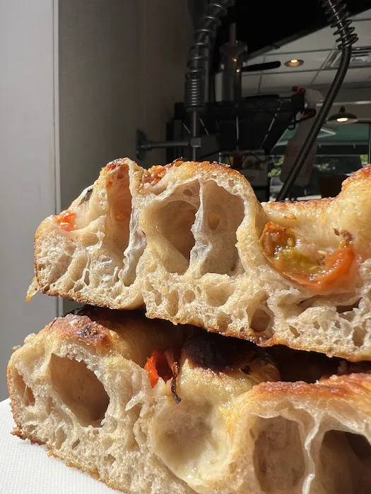 The Hudson Oven Picture 5