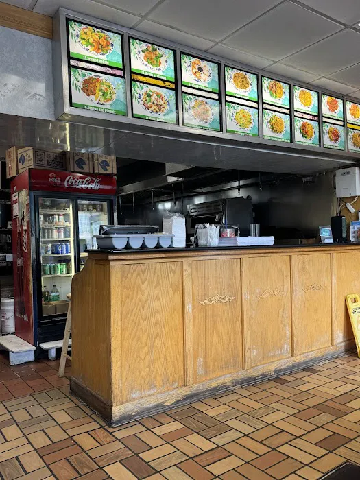 Great Wall Croton Picture 6