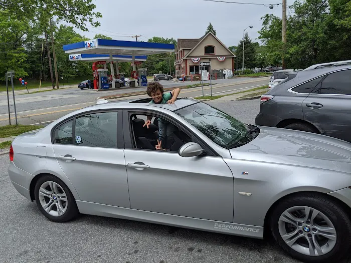 Great Wall Croton Picture 5