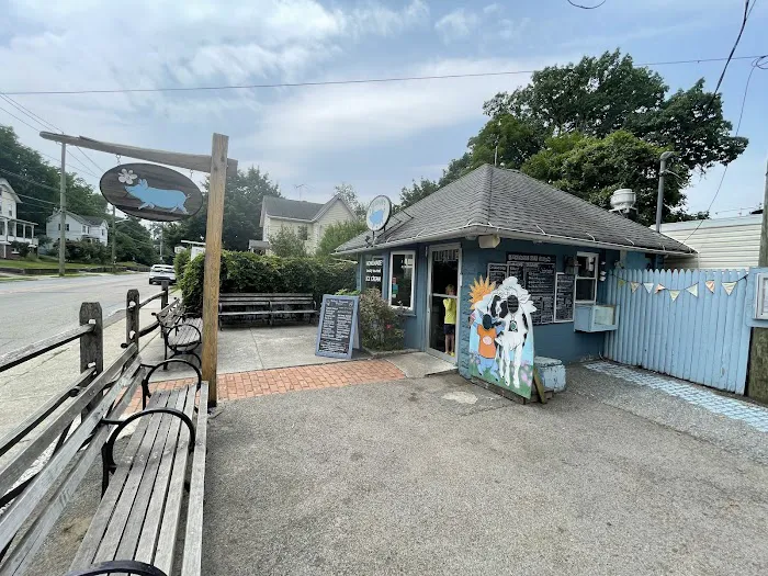 The Blue Pig Picture 6