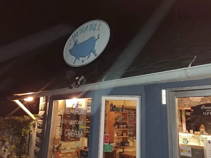 The Blue Pig Picture 5