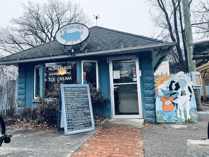 The Blue Pig Picture 3