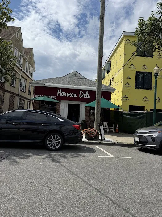 Harmon Deli of Croton on Hudson Picture 9