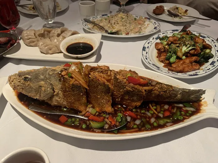 Ocean Empire Picture 10