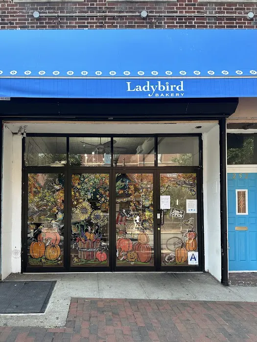 Ladybird Bakery Picture 9