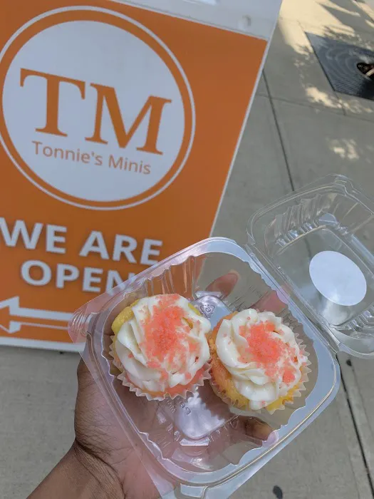 Tonnie's Minis Picture 4