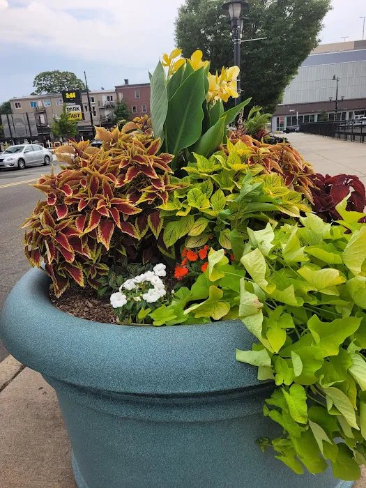 Three Levels Lounge & Sports Bar Picture 9