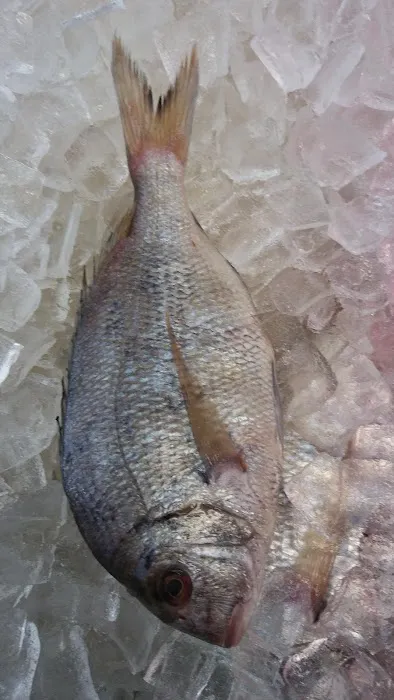 C H Crab House Picture 4