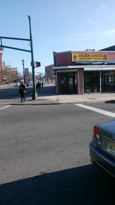 Golden Garden Picture 3