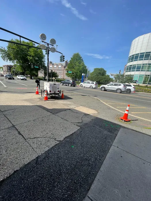 Golden Garden Picture 2