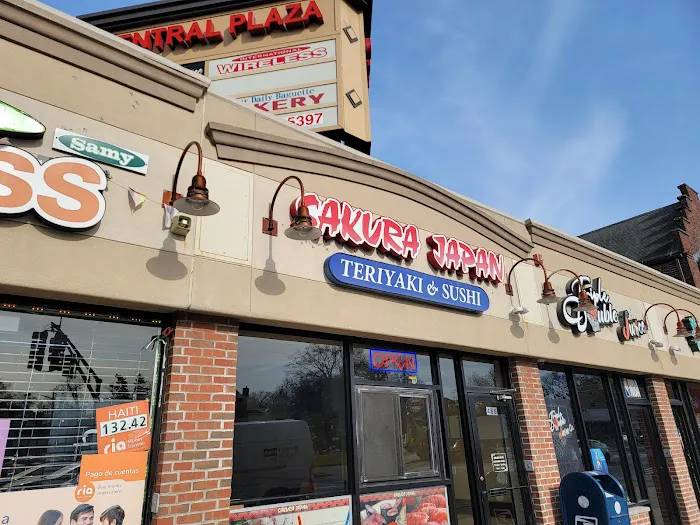 Sakura Japan Picture 5