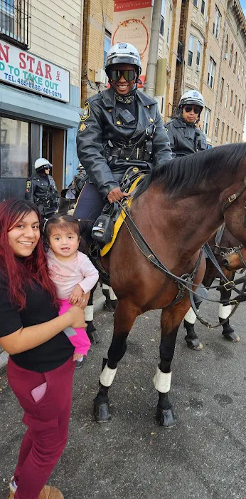 Golden Star Picture 1