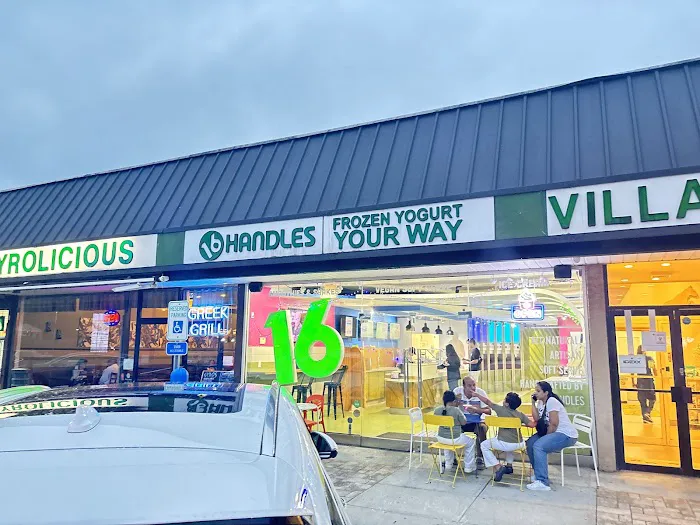 16 Handles Picture 5