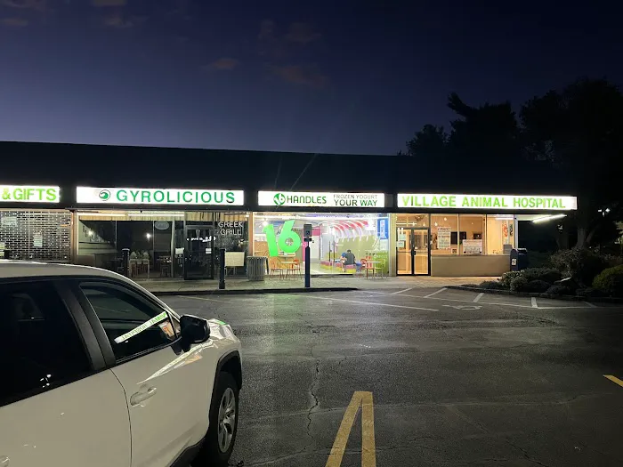 16 Handles Picture 4