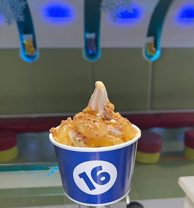 16 Handles Picture 10