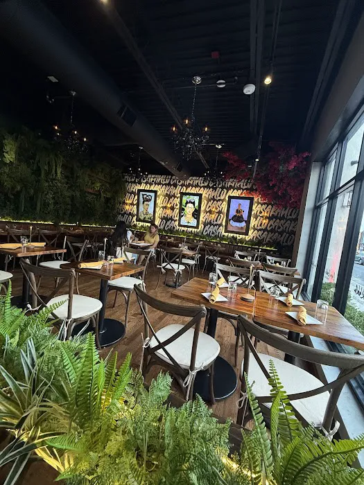 Casa Kahlo Picture 4