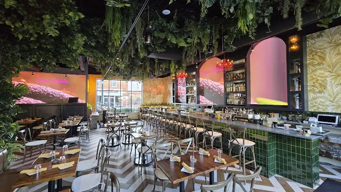 Casa Kahlo Picture 8