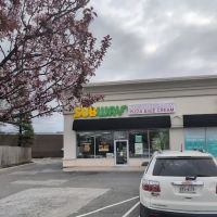 Brush Hollow Pizza and Ice Cream ico