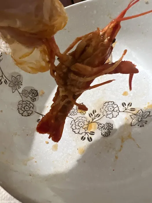 Mad Boil East Meadow Picture 4