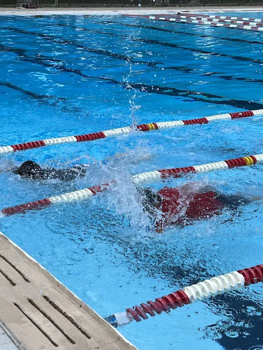 La Focaccia Lounge Picture 10