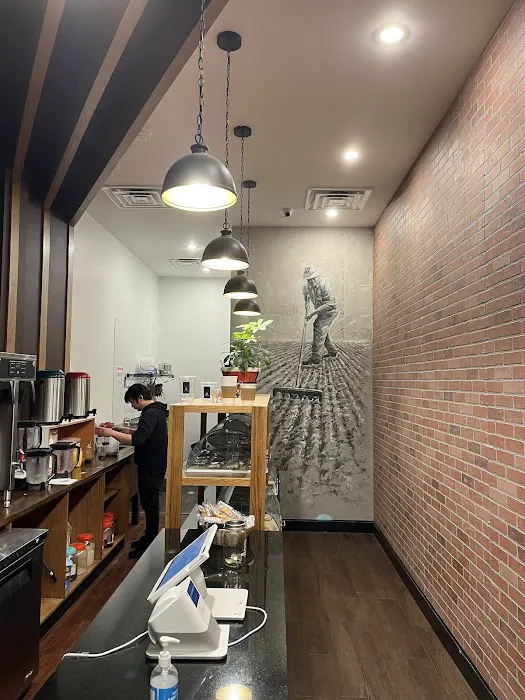 The Early Bird Cafe Picture 8