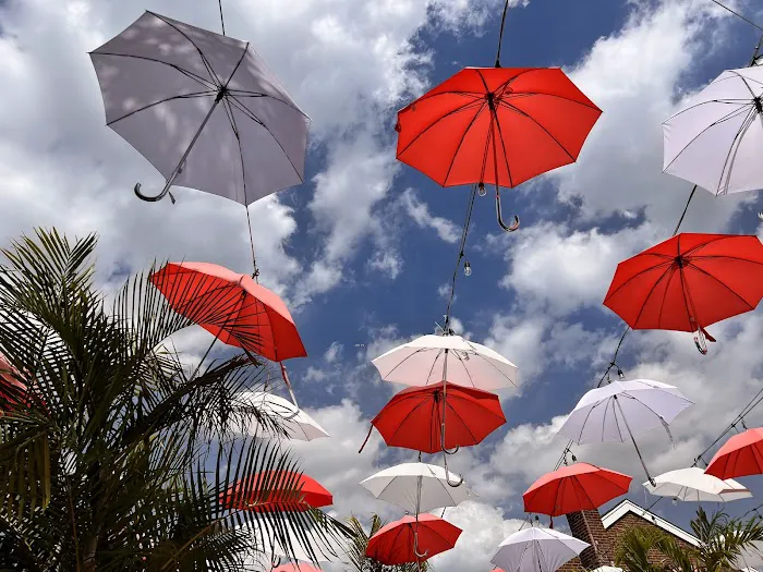 Pietro's of East Meadow Picture 8