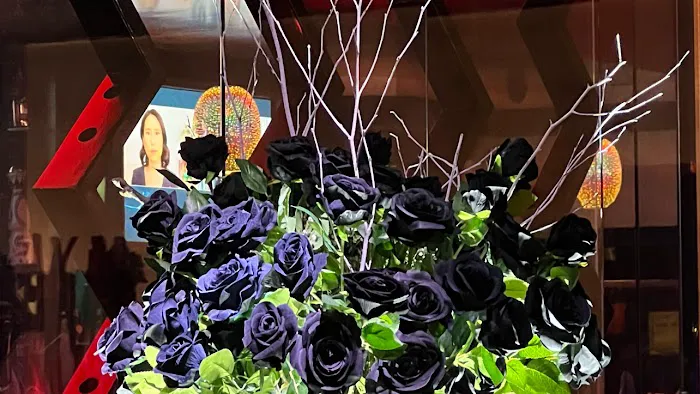 NK Restaurant Picture 2