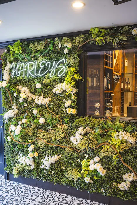 Harleys American Grille Picture 6