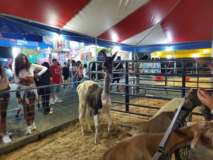 Empire State fair Picture 5