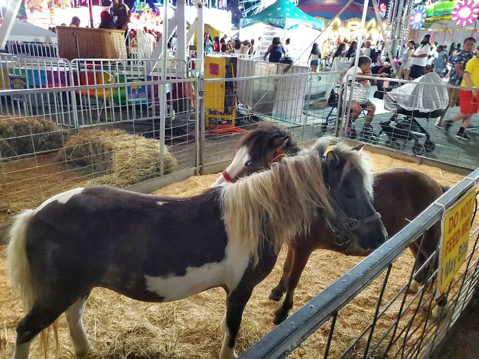 Empire State fair Picture 9