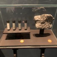 The Savor Market and Pizza ico