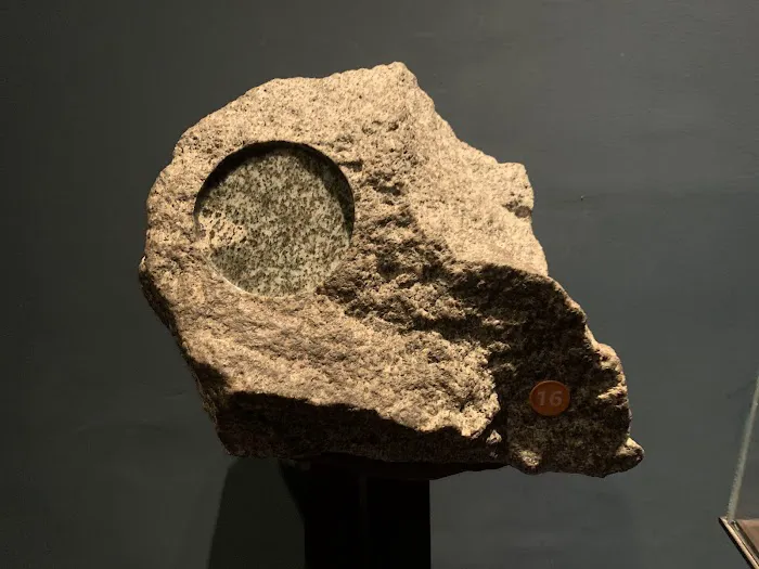 The Savor Market and Pizza Picture 7