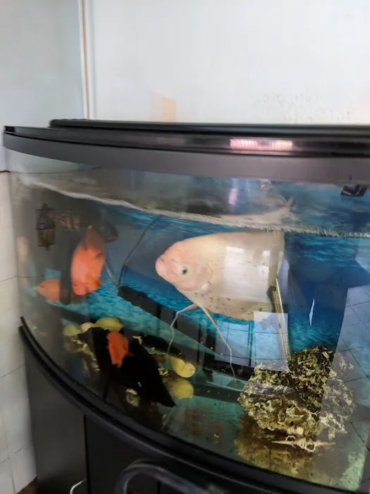 New Choi Hee Picture 4