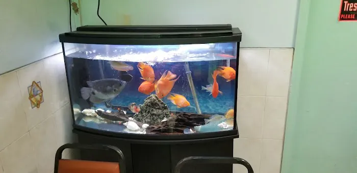 New Choi Hee Picture 1