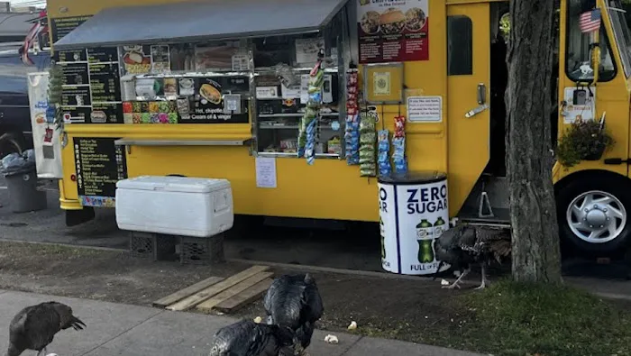 Yafa Shawarma Food Truck Picture 5