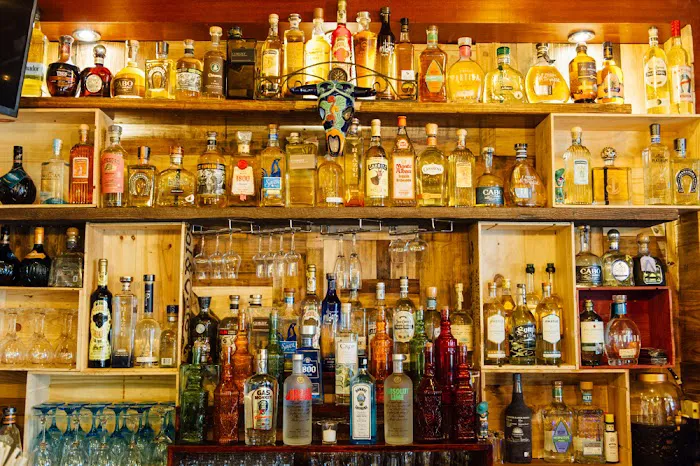 Sofia's Taqueria Picture 1