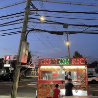 New Dorp food cart ico