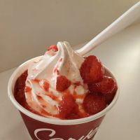 Carvel ico
