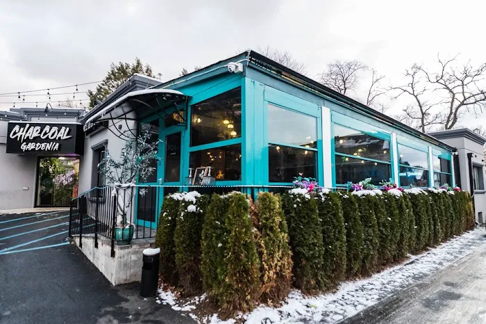 Charcoal Gardenia Picture 9