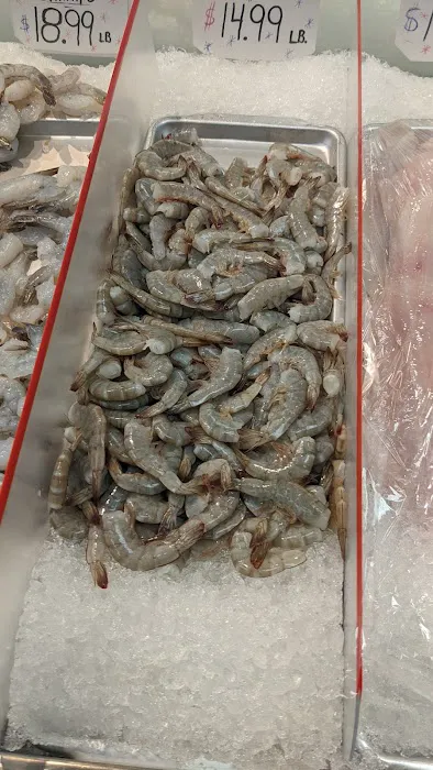 Beyond The Sea Picture 2