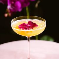 BOTA Supper Club ico