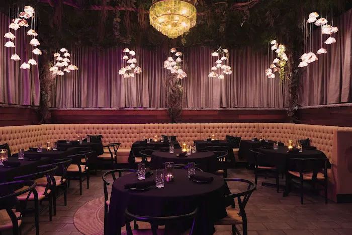 BOTA Supper Club Picture 10