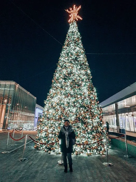 Shake Shack Empire Outlets - Staten Island Ferry Picture 5