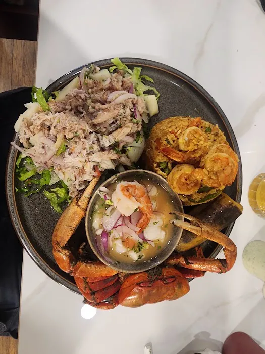 Latitude Zero Picture 10