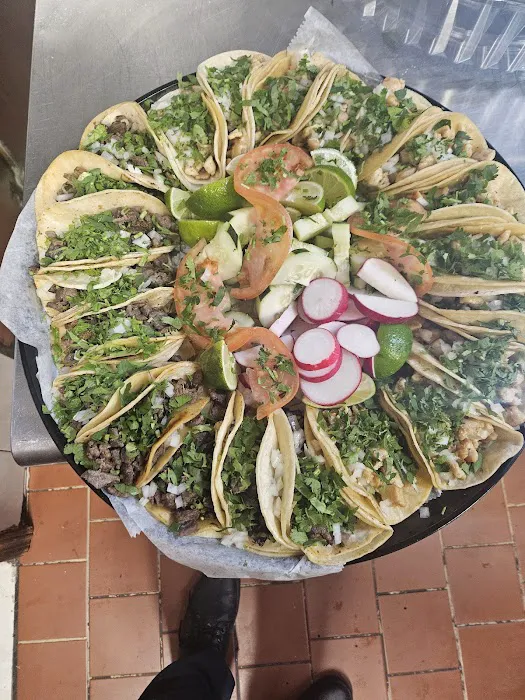 Mi Armadillo Mexican Taqueria Picture 5