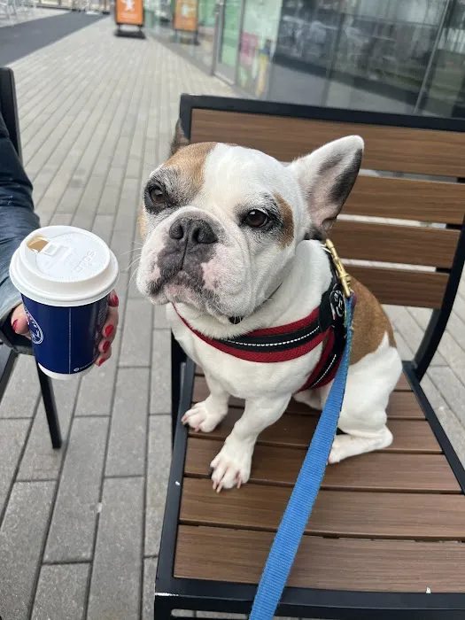 The Bettered Bagel Picture 6